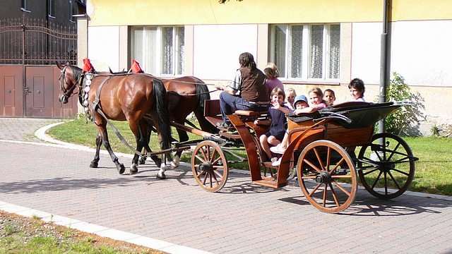 Vyjížïka v koèáøe Photograph